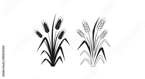 Two black silhouettes of wheat stalks with detailed grain heads