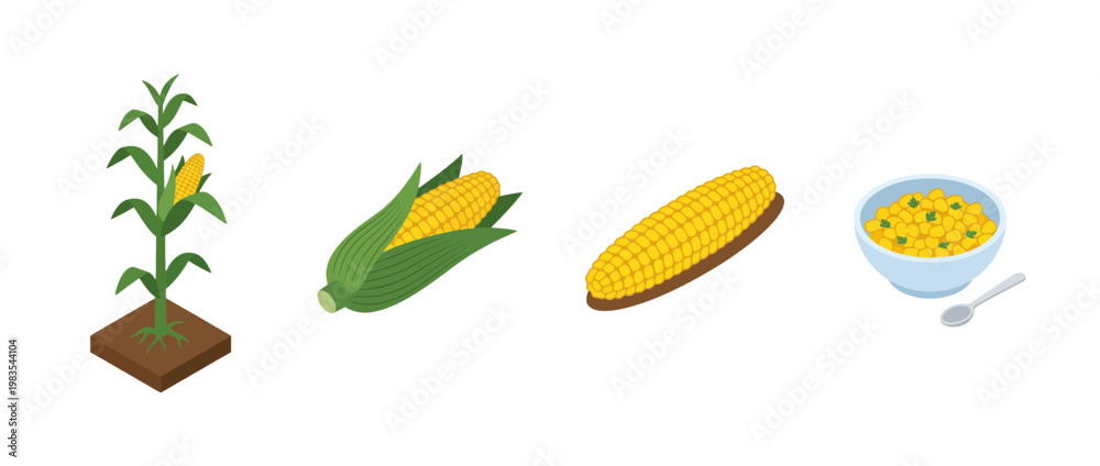 Obraz premium corn flat color isometric vector