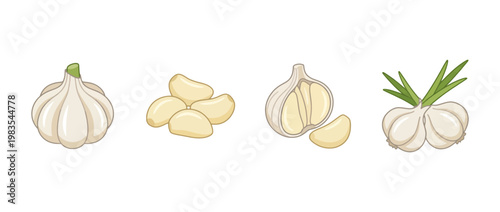 garlic flat color isometric vector