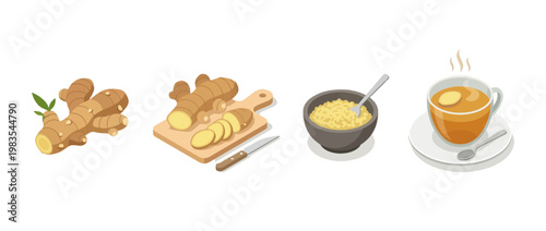 ginger flat color isometric vector