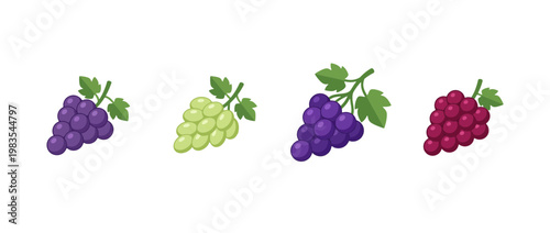 grape flat color isometric vector