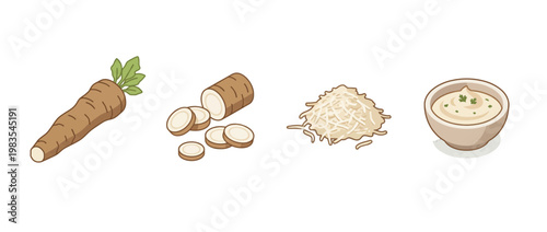 horseradish flat color isometric vector