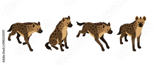 hyena flat color isometric vector