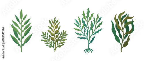 kelp flat color isometric vector