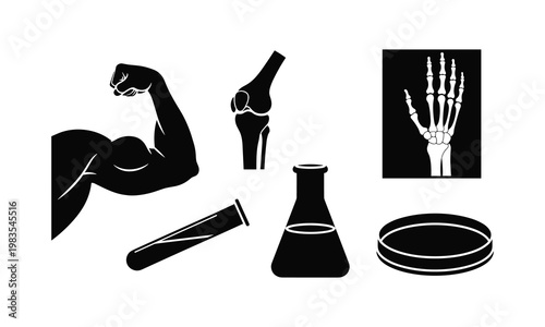 Illustrations representing muscle, bone, syringe, lab equipment, and x-ray imaging