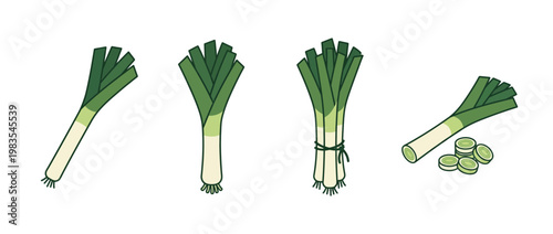 leek flat color isometric vector