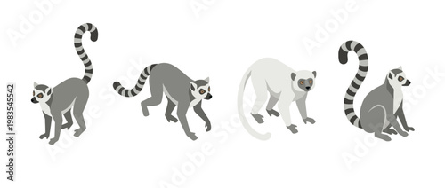 lemur flat color isometric vector