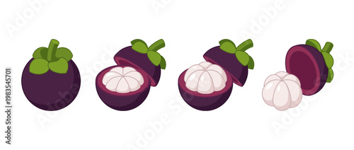 mangosteen flat color isometric vector