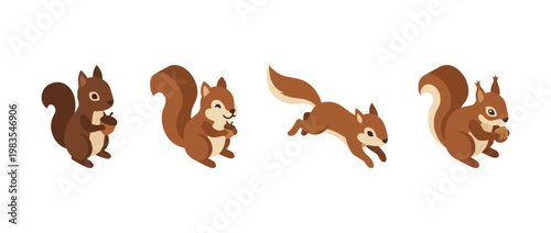 squirrel flat color isometric vector