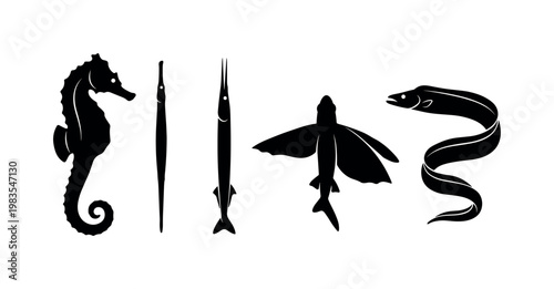 seahorse curled tail upright, pipefish long thin body, needlefish narrow elongated shape, flying fish wing fins spread, ribbonfish