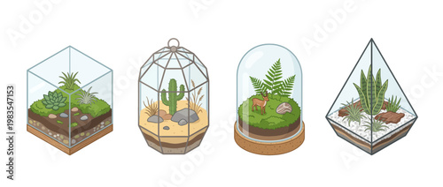 terrarium flat color isometric vector