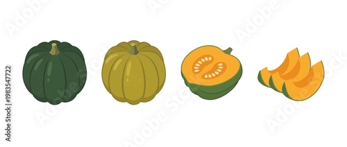 acorn squash flat color isometric vector