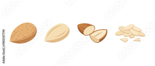 almond flat color isometric vector