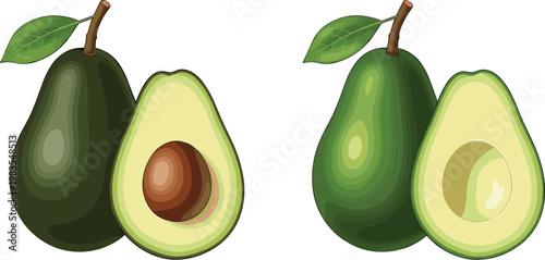 Avocado fruit set whole and half vector illustration fresh healthy organic food ingredient green collection design