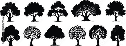 Collection of diverse tree silhouettes showcasing different canopy shapes and structures, representing natural forest and woodland diversity