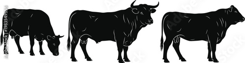 Cow silhouettes collection in different poses, black vector illustration of farm cattle animals isolated on clean background for agriculture design