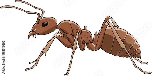 Detailed brown ant insect vector illustration showing realistic anatomy, segmented body, mandibles and legs isolated on clean background