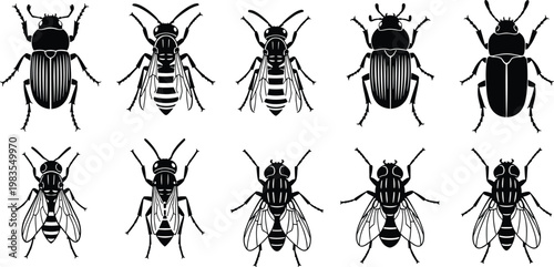 Set of insect silhouettes including beetles flies and bugs detailed collection of different species vector illustration isolated