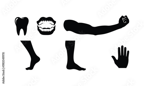 Ancient egyptian symbols representing body parts and strength