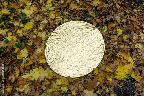 A golden reflector shines as it sits on a forest floor covered with autumn leaves on a damp autumn day.