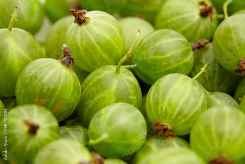 Fotografie Fresh green gooseberries piled together, showcasing their smooth skin and distin