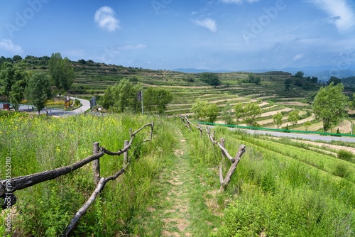 vineyard in baoji, china