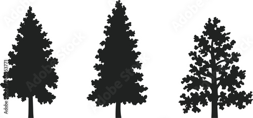 Pine tree silhouettes set, forest evergreen trees collection, nature vector illustration design elements