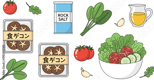 Fresh vegetable salad ingredients vector set with tomatoes spinach garlic rock salt olive oil and Japanese packaged food illustration