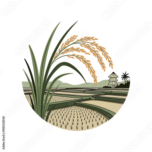 Vector Illustration of Terraced Rice Paddies and Golden Grains