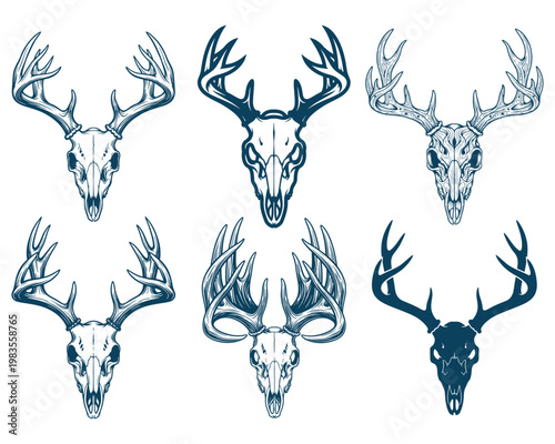 Deer Skull with Antlers Illustration Set Minimal Line Art Wildlife Collection