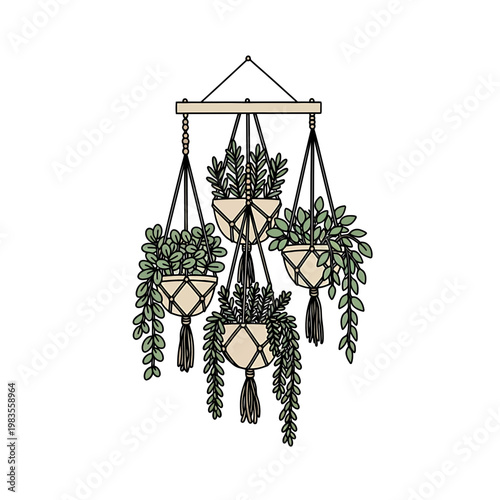 Minimalist Macrame Plant Hanger Vector Illustration with Houseplants