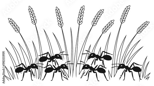 Colony of busy ants crawling through wheat field stalks black and white vector nature illustration