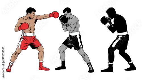 Boxers fighting pose illustration and silhouette graphic