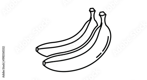 Simple line drawing depicts a bunch of three ripe bananas