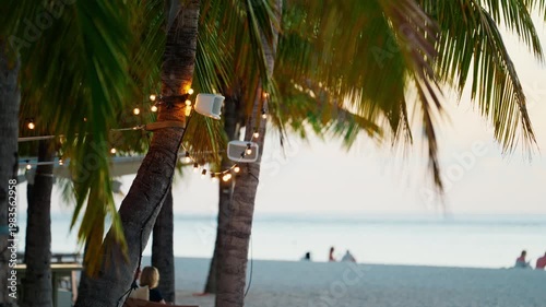Beautiful view of the beach with palms nature of the Mauritius. Exotic sea coast landscape with white sand. Luxury resort background for summer vacation at sunset