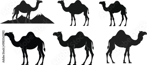 Camels and dromedaries silhouette collection with desert mountains eid elements.