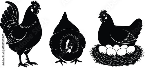 Black silhouette vector illustrations of hens standing, brooding, and nesting with eggs for poultry farming and education