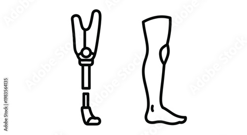 Line drawing depicting a prosthetic leg and a prosthetic hand