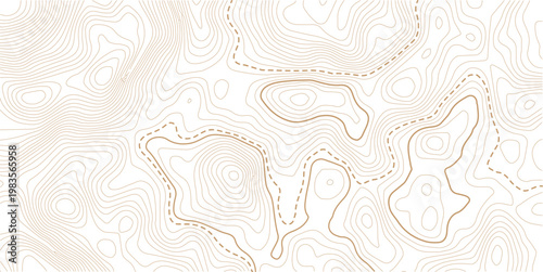 Luxury abstract Topographic line map.sea map area space geometric strip grid line topo map technology modern design white background.