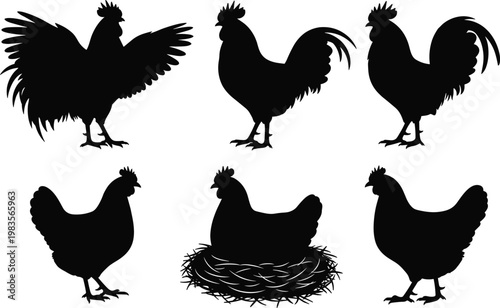 "Black silhouettes of chickens and roosters in various poses, farm poultry vector illustration for agriculture design"