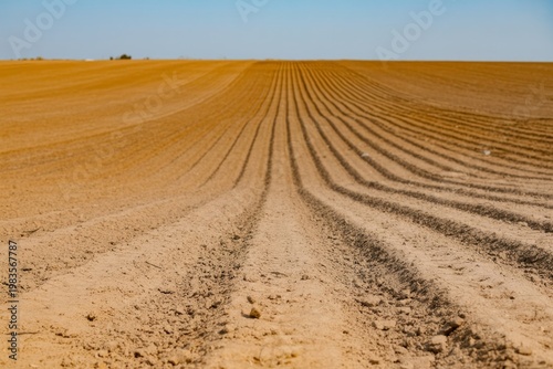 Vast, arid landscape with freshly plowed rows of dirt under a clear blue sky.
