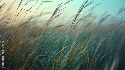 Wind-blown field of tall, golden grass with soft hues, under an ethereal, gradient sky