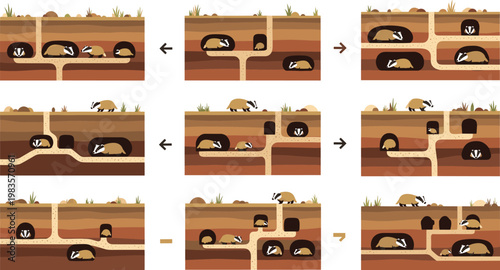 Underground animal burrow system vector illustration showing tunnels cross section wildlife habitat infographic design set