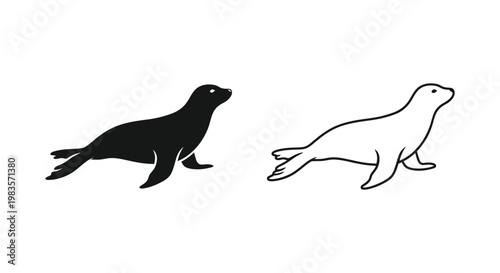 Sea Lion vs Seal Comparison Guide Vector