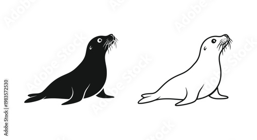 Sea Lion vs Sealion Comparison Guide Vector