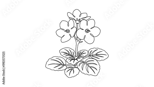 A line drawing of flowers and leaves.
