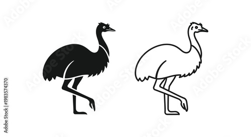 Ostrich vs Emu: Unique Flightless Birds Comparison Vector