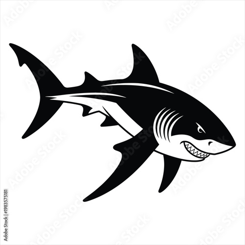 Aggressive great white shark vector illustration for sports mascot and logo design