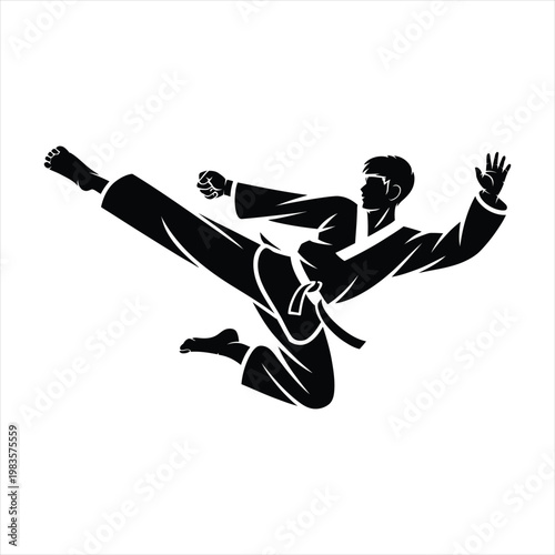 Martial arts master performing jumping high kick silhouette in kimono outfit