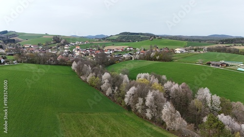 Streuobstwiesen als Lebensraum

